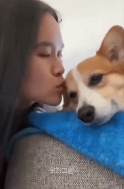 이 영상 보고 댕댕이한테 뽀뽀 자주해야겠다고 결심함 | 인스티즈