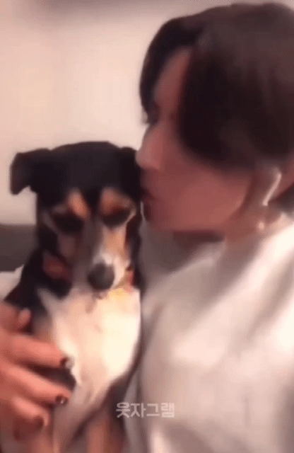 이 영상 보고 댕댕이한테 뽀뽀 자주해야겠다고 결심함 | 인스티즈