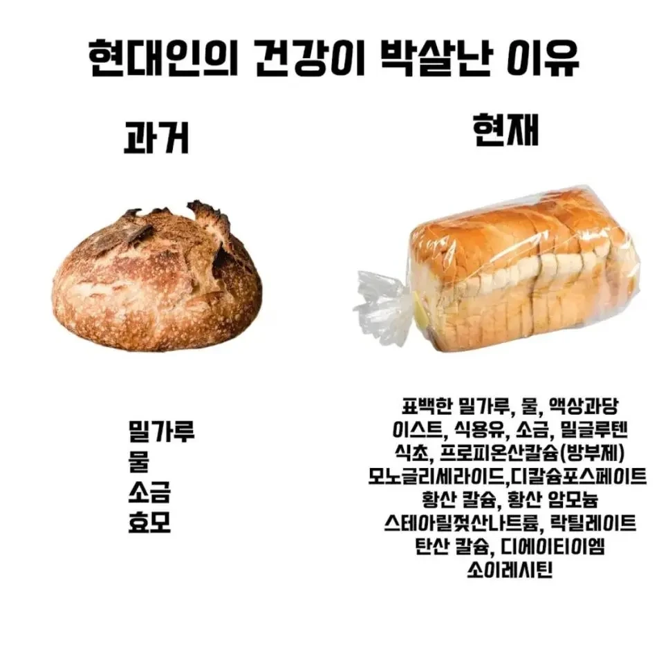 현대인들의 건강이 박살난 이유 | 인스티즈