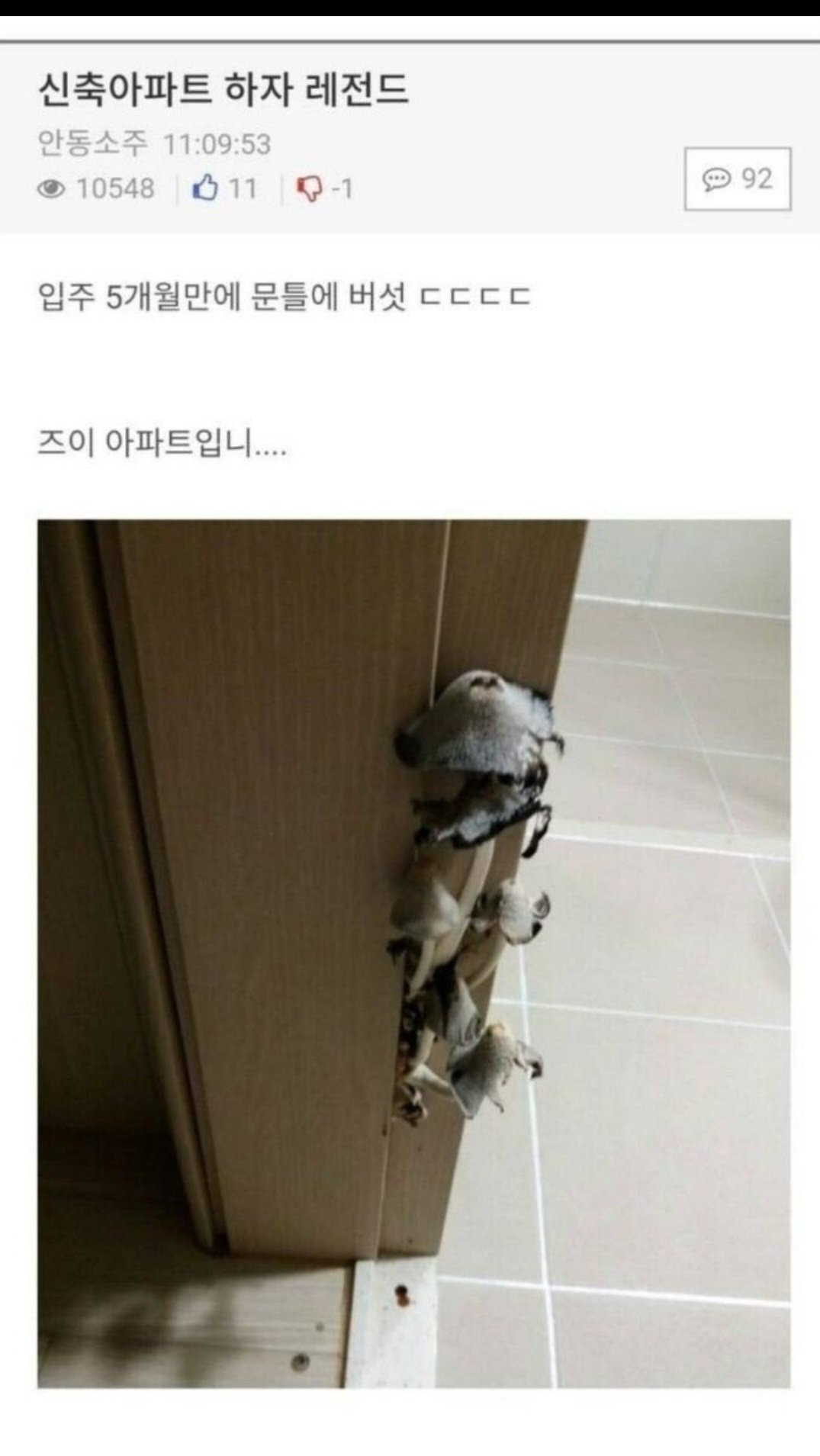 신축 아파트 하자 레전드 | 인스티즈