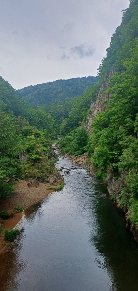 여름 홋카이도 여행 | 인스티즈