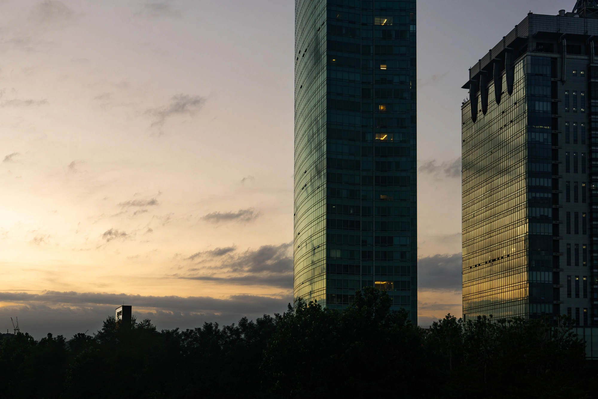 여의도 샛강문화다리 | 인스티즈