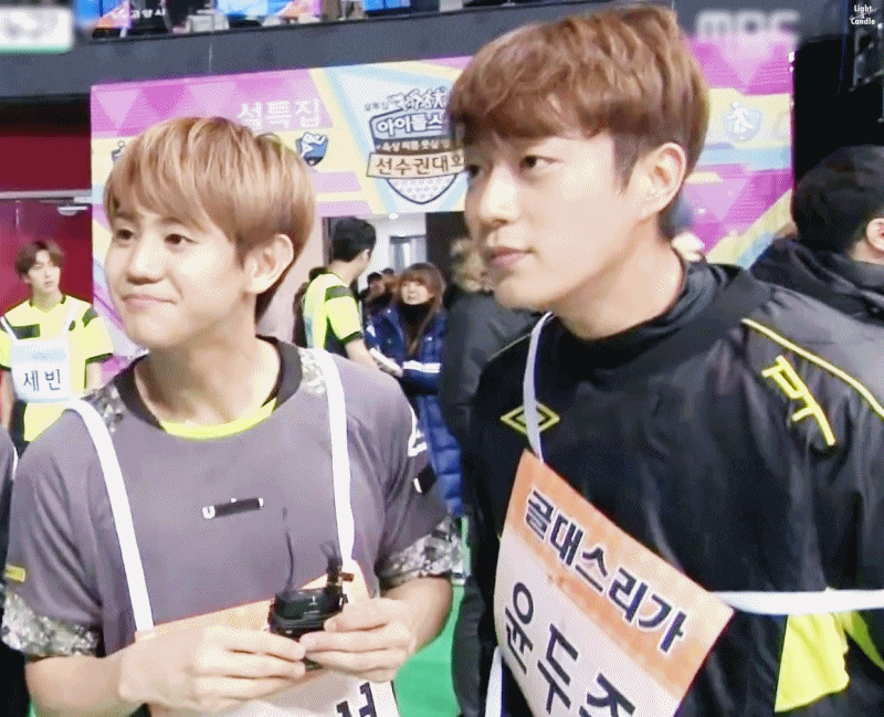 약 2.5세대 팬픽 판을 잡아먹었던 두 커플 | 인스티즈