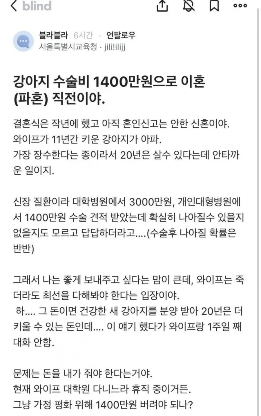 블라) 강아지 수술비 때문에 이혼 직전 | 인스티즈