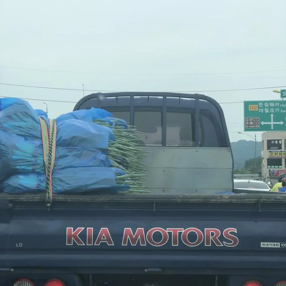 전형적인 좌파.jpg | 인스티즈