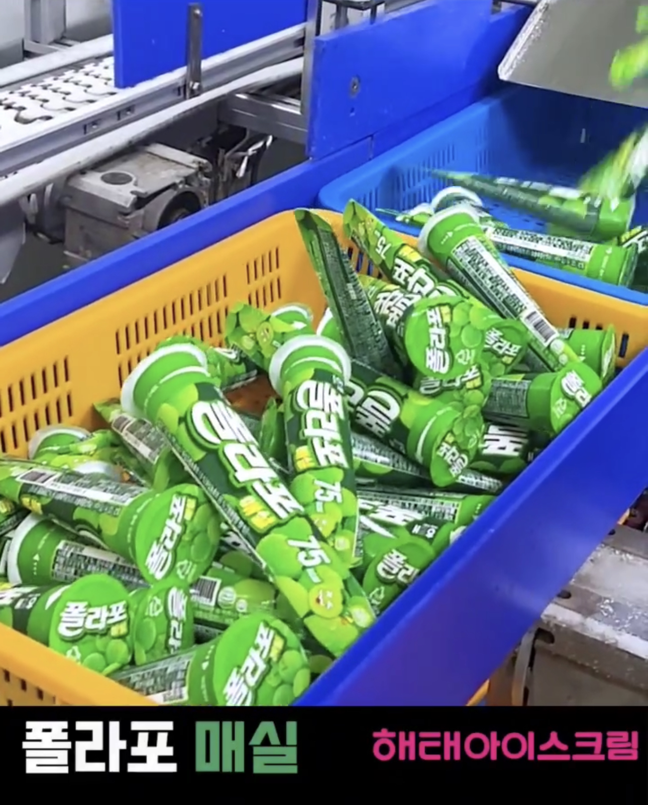 새로 나오는 폴라포 매실 | 인스티즈