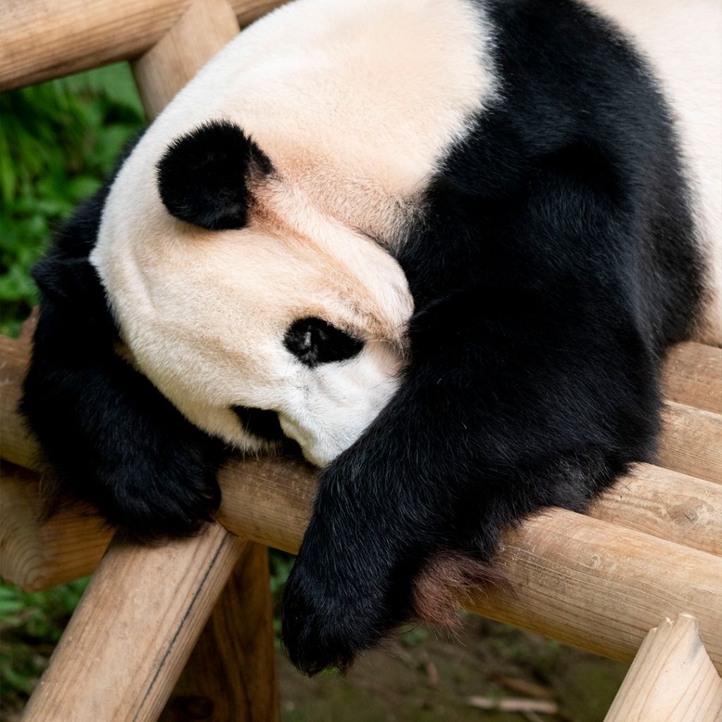에버랜드에 올라온 판월 화보 A컷 | 인스티즈