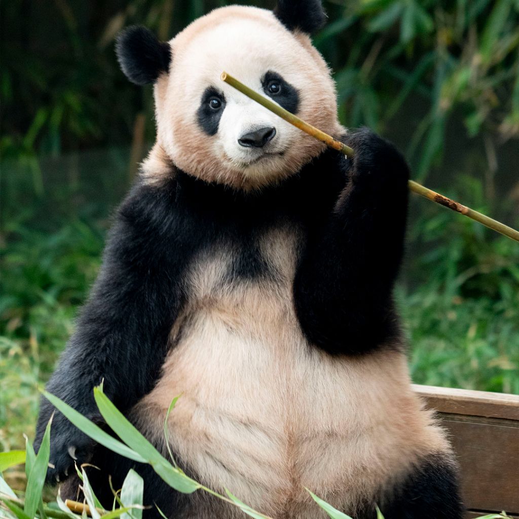 에버랜드에 올라온 판월 화보 A컷 | 인스티즈