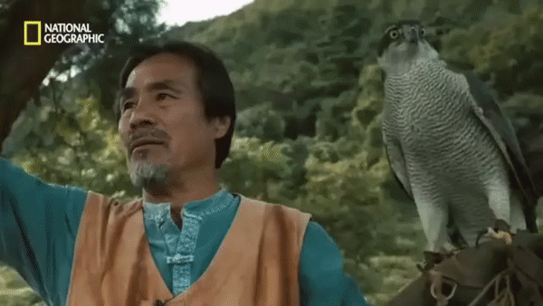 한국방송 vs 미국방송.gif | 인스티즈