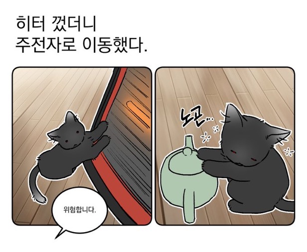 수달은 새끼를 낳으면 이곳저곳 돌아다니며 자랑하는 습성이 있습니다 | 인스티즈