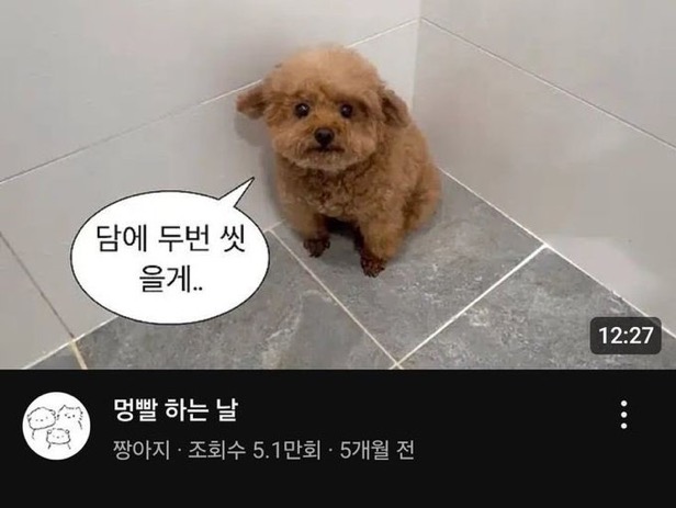 수달은 새끼를 낳으면 이곳저곳 돌아다니며 자랑하는 습성이 있습니다 | 인스티즈