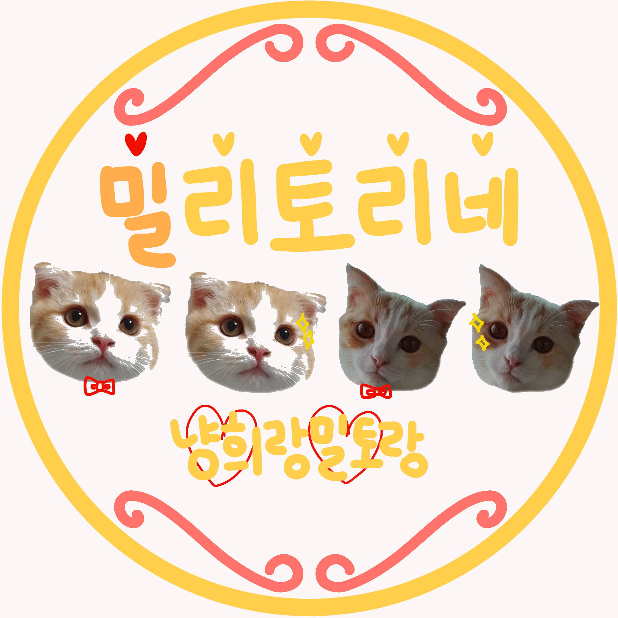 [냥귀염] 아니 머냐 동물병원에서 미용했는데 이런거 찍어주셨어 | 인스티즈