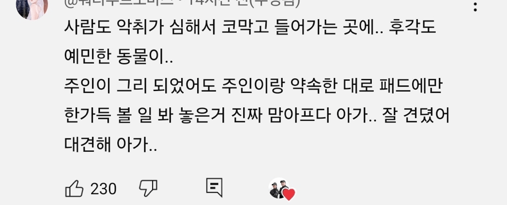 고독사 현장에서 누군가 오기만을 기다린 작은 생명 | 인스티즈