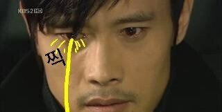 스컹크의 냄새는 방귀가 원인이 아니다 | 인스티즈