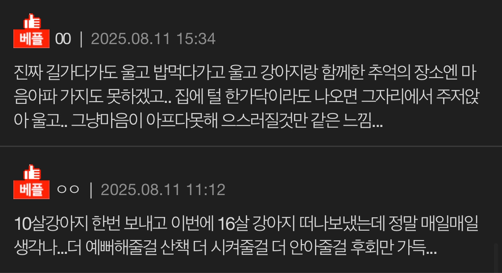 키우는 강아지가 죽으면 얼마나 슬플까? | 인스티즈