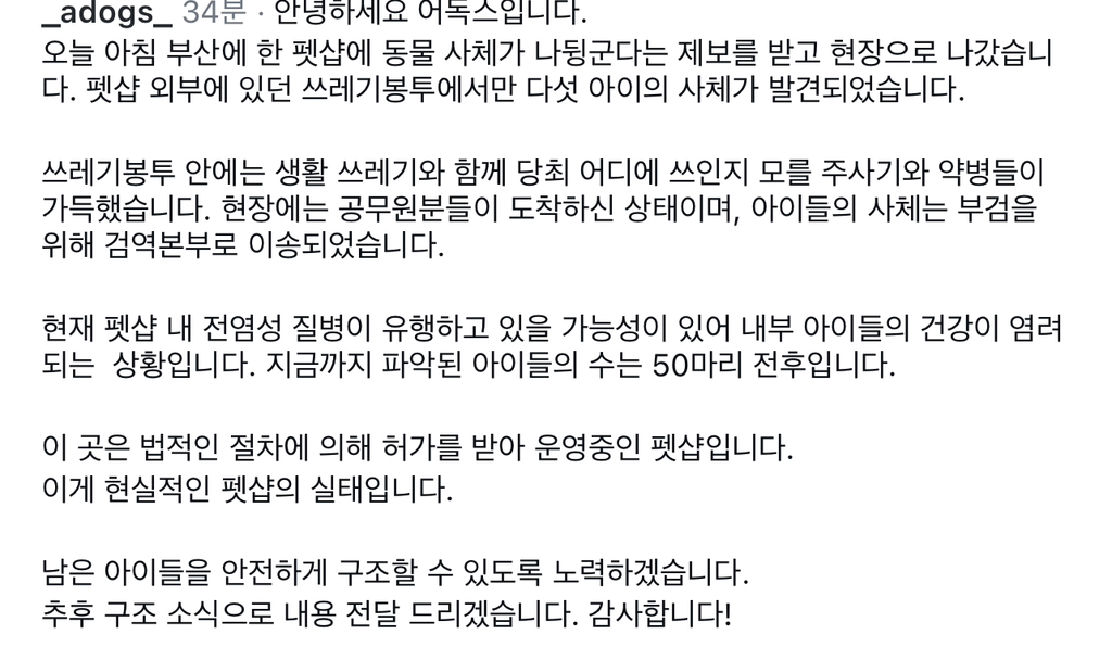 허가받은 펫샵 실태 | 인스티즈