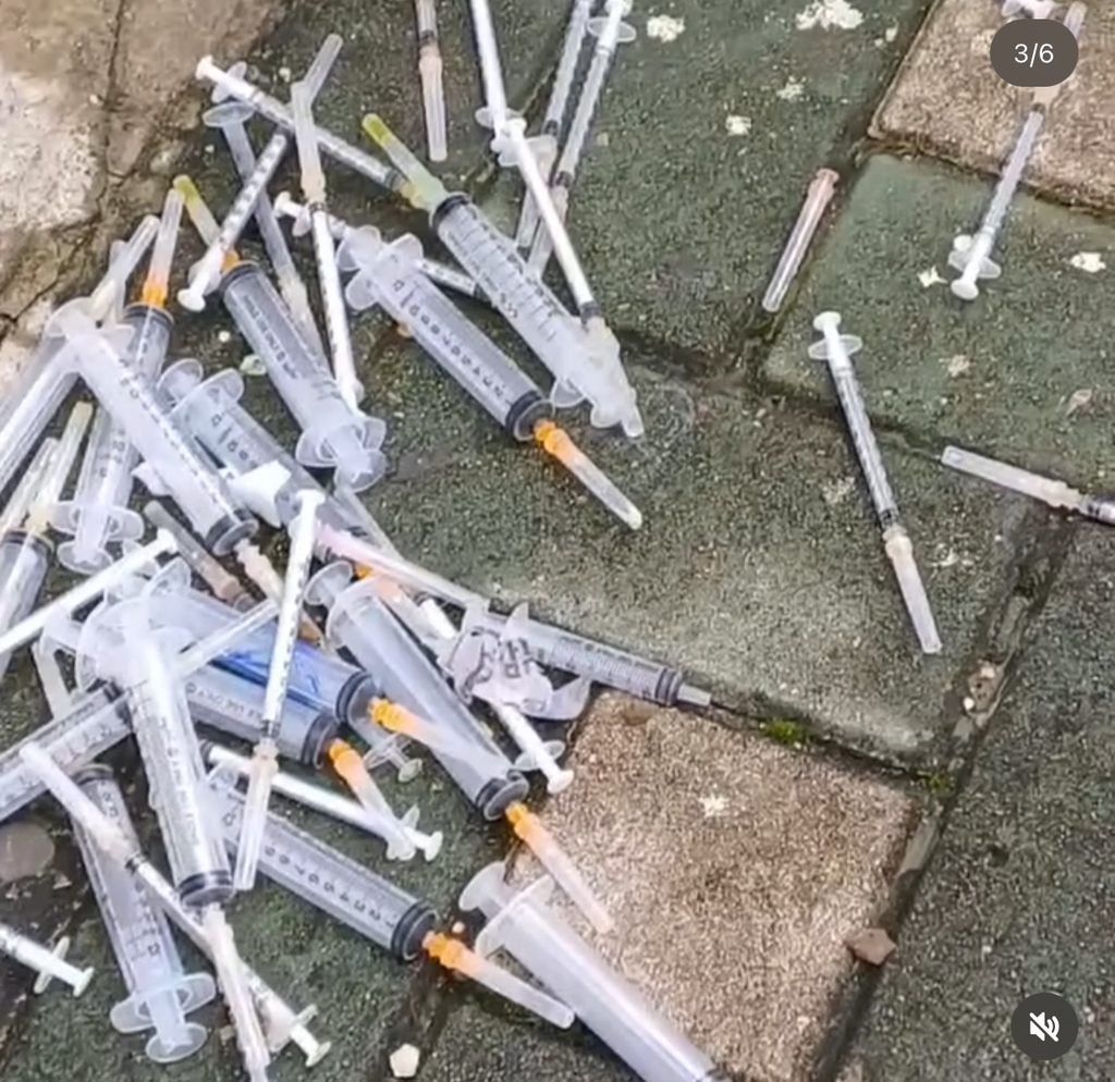 허가받은 펫샵 실태 | 인스티즈