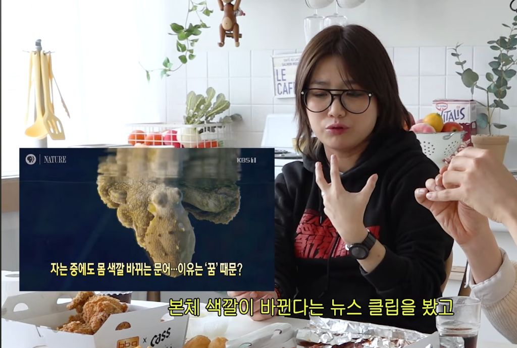 알고보면 직장인들의 심경을 담은 슬픈 노래였던 안예은의 문어의 꿈 | 인스티즈