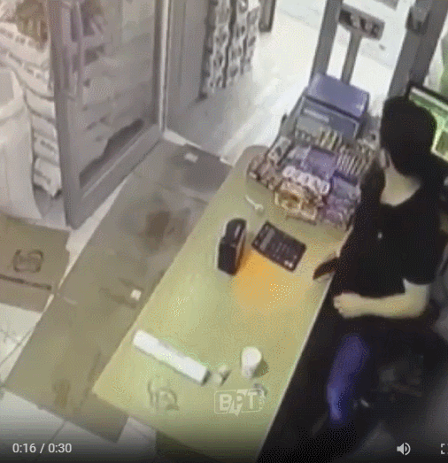 고양이 움짤 모음 | 인스티즈