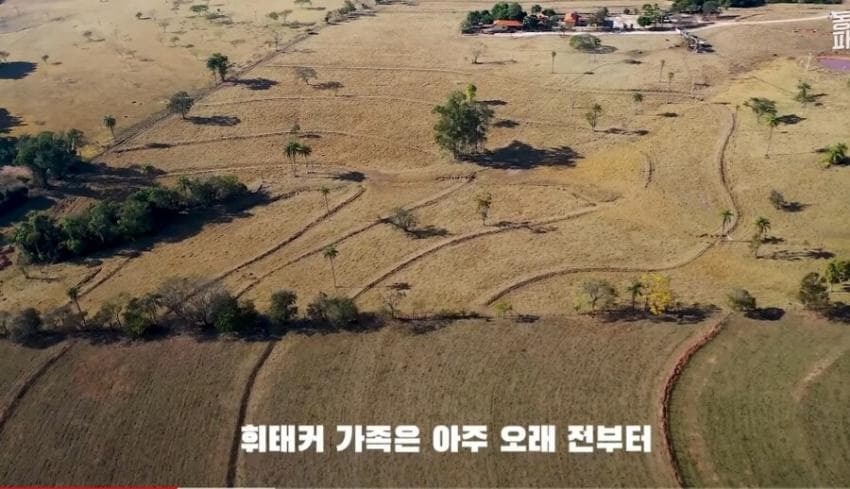 충격)대대로 근친혼을 한 미국 가족 | 인스티즈