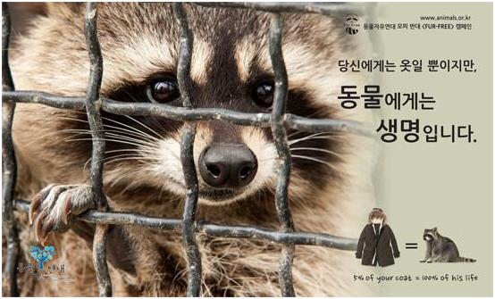 동물을 학대해서 얻는 잔인한 패션 소재 | 인스티즈