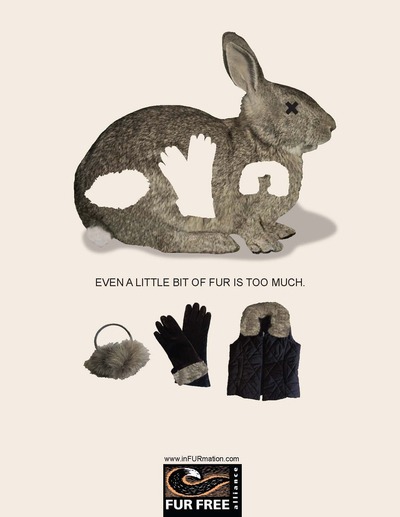 동물을 학대해서 얻는 잔인한 패션 소재 | 인스티즈