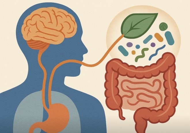 '건강한 대변' 이식하자 벌어진 일…우울증 환자 '극적 변화' | 인스티즈