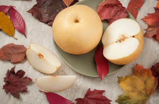 젊은 세대들한테 은근히 인기 없는 과일투탑 | 인스티즈