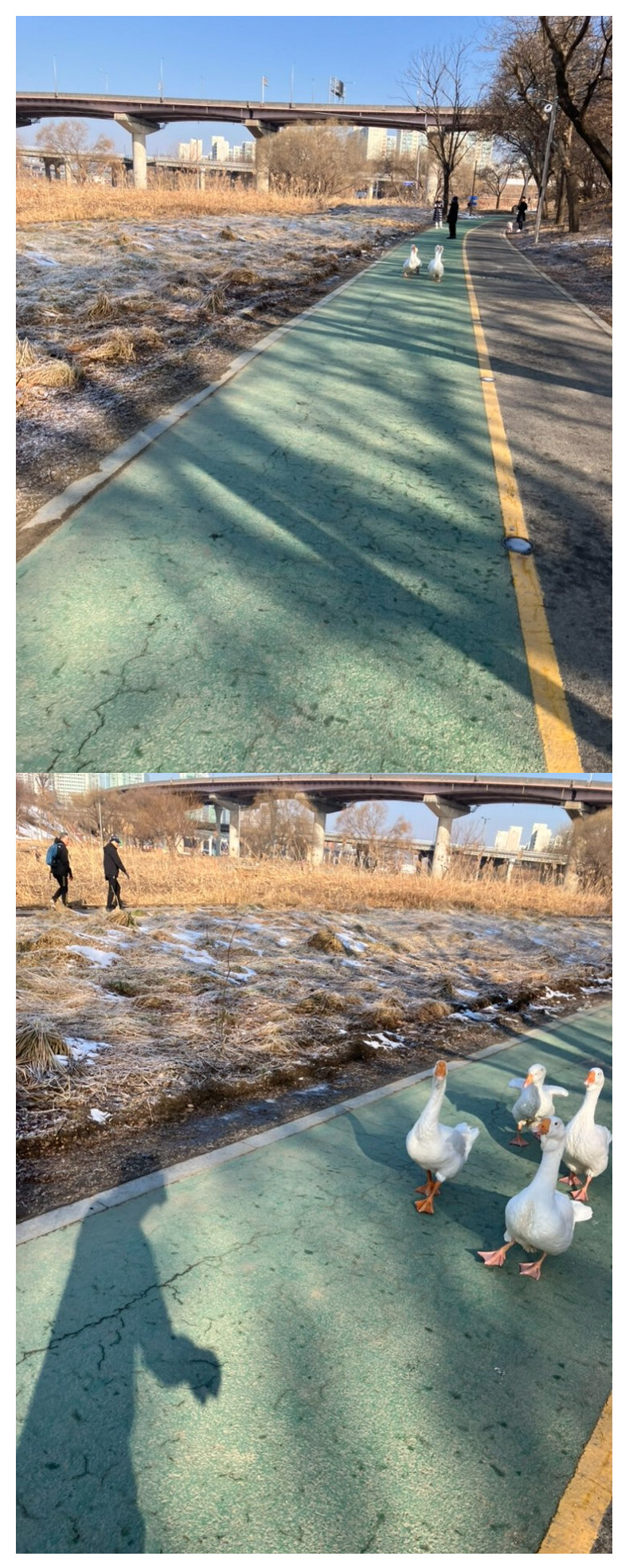 양재천 점령한 알몸 크루 jpg | 인스티즈