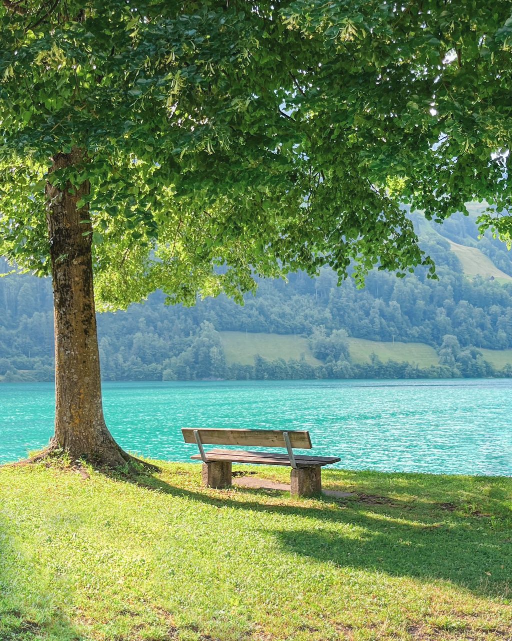 스위스가 얼마나 예쁘냐면 동네 걷다가, 길가에 있는 벤치 보고 예뻐서 오열함 | 인스티즈