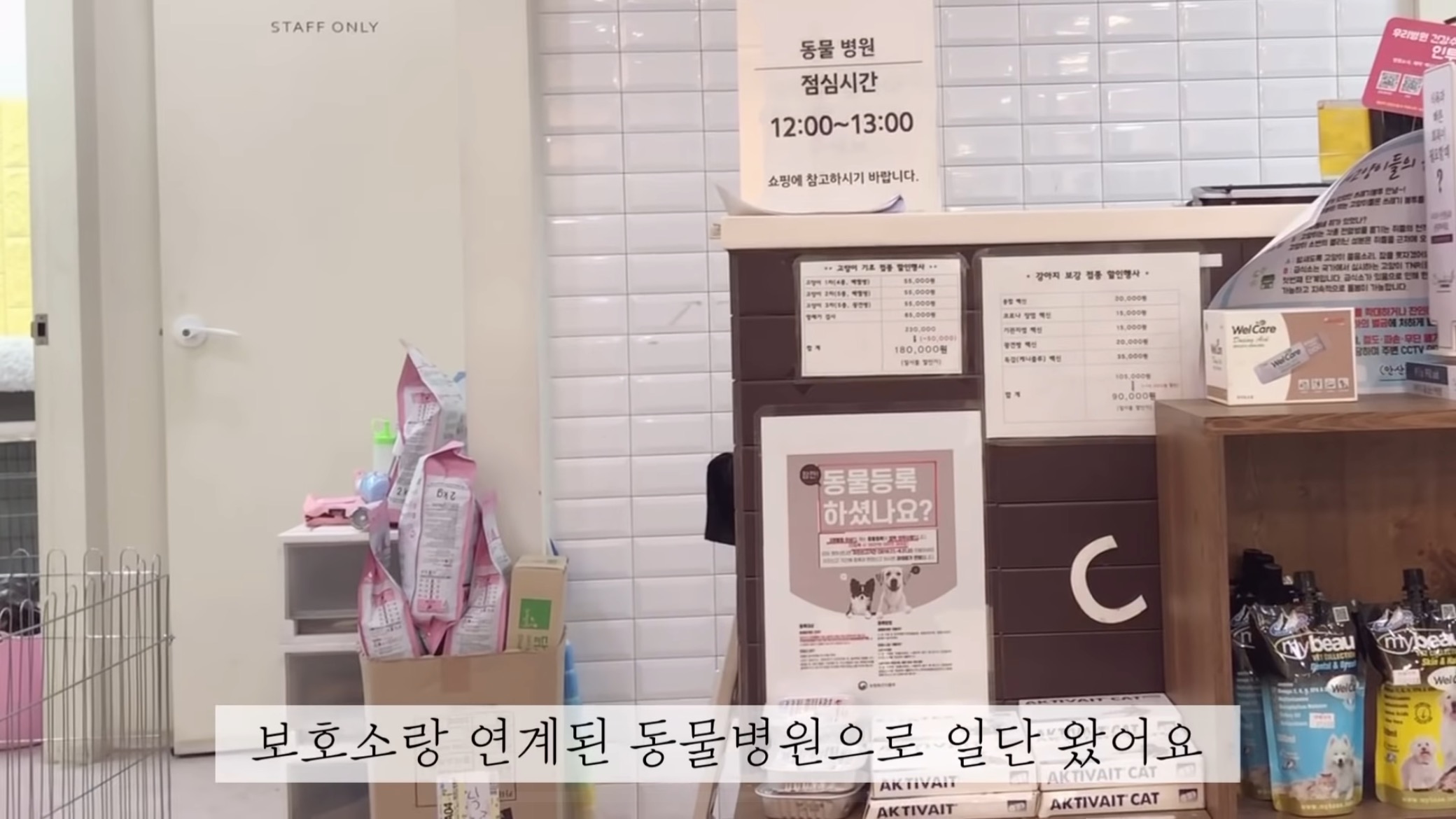 "공고번호 411번" 강아지가 입양되기 전 후 모습.jpgif | 인스티즈