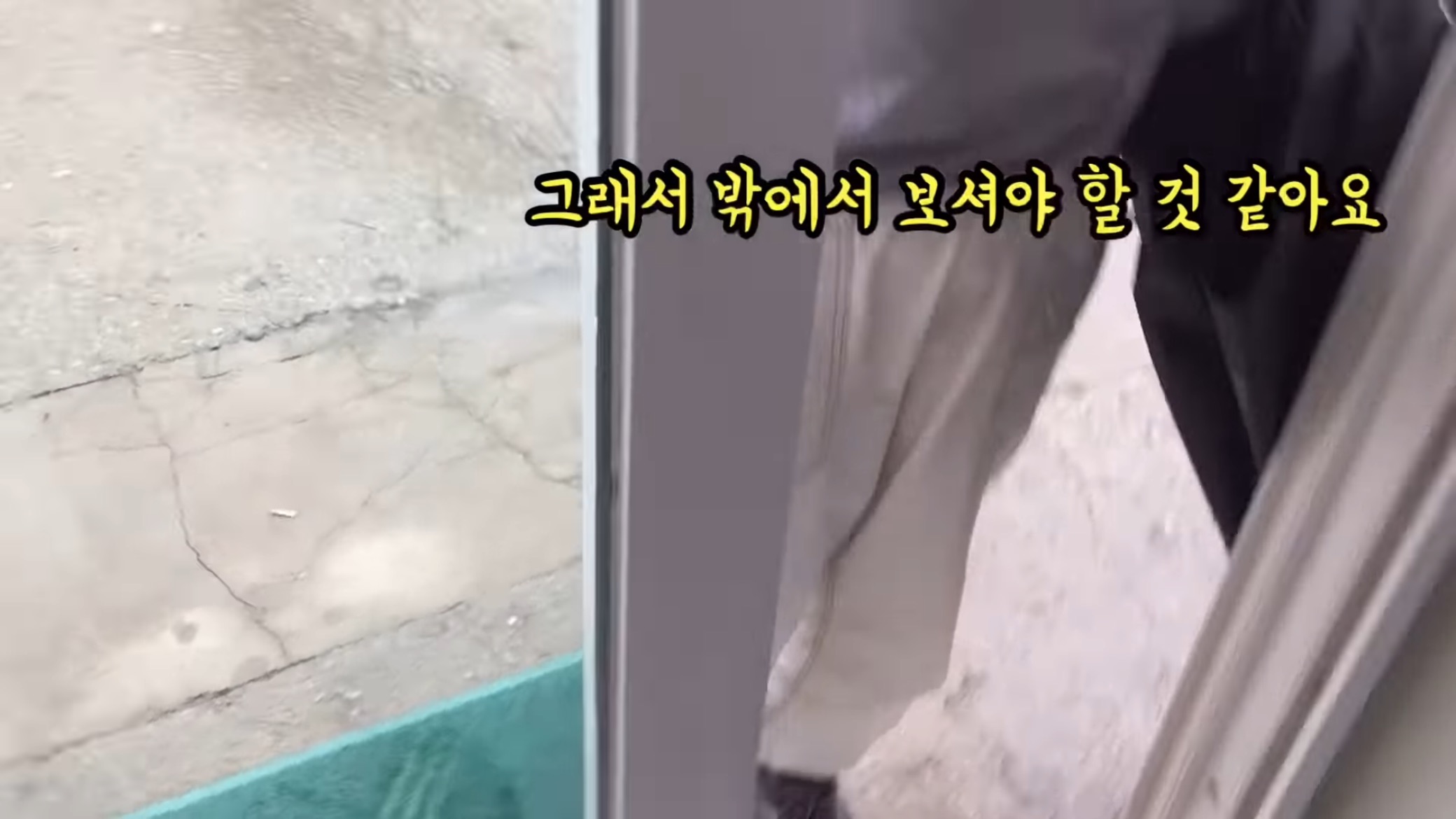 "공고번호 411번" 강아지가 입양되기 전 후 모습.jpgif | 인스티즈