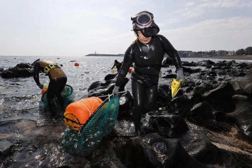 제주 해녀가 가장 뛰어난 잠수 능력을 가진 인류라는 연구 결과가 나옴 | 인스티즈