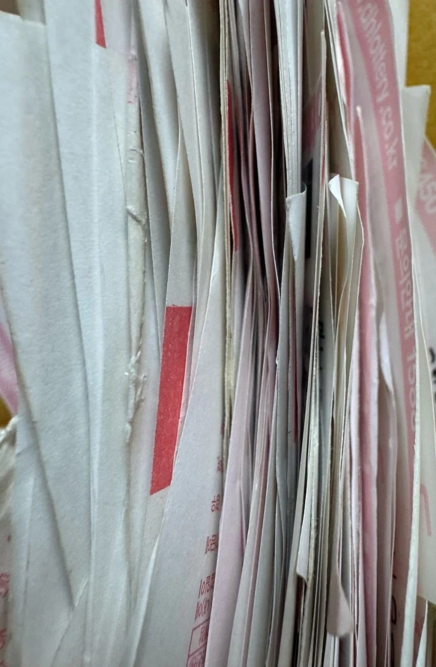 한달에 100만원씩 로또 자동 돌린 디시인 | 인스티즈