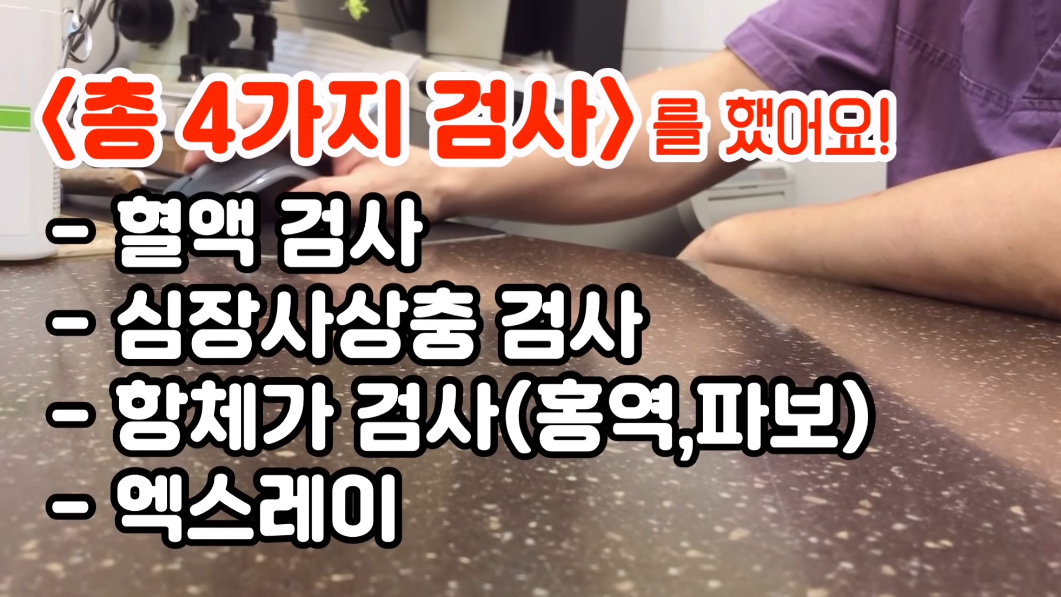 "공고번호 411번" 강아지가 입양되기 전 후 모습.jpgif | 인스티즈