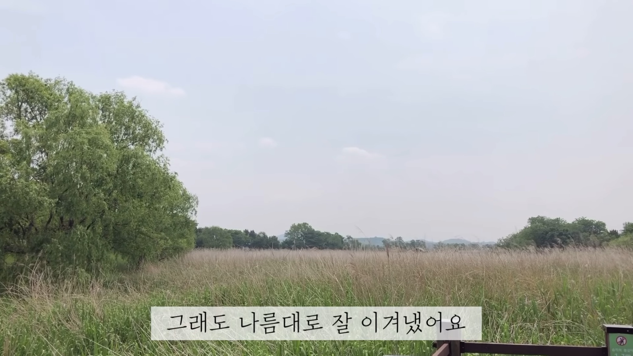 "공고번호 411번" 강아지가 입양되기 전 후 모습.jpgif | 인스티즈