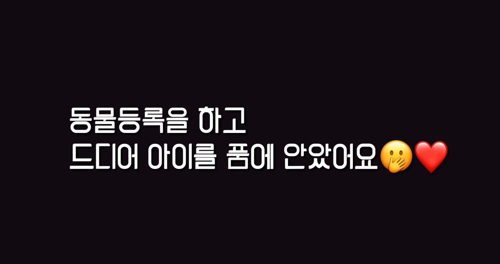 "공고번호 411번" 강아지가 입양되기 전 후 모습.jpgif | 인스티즈