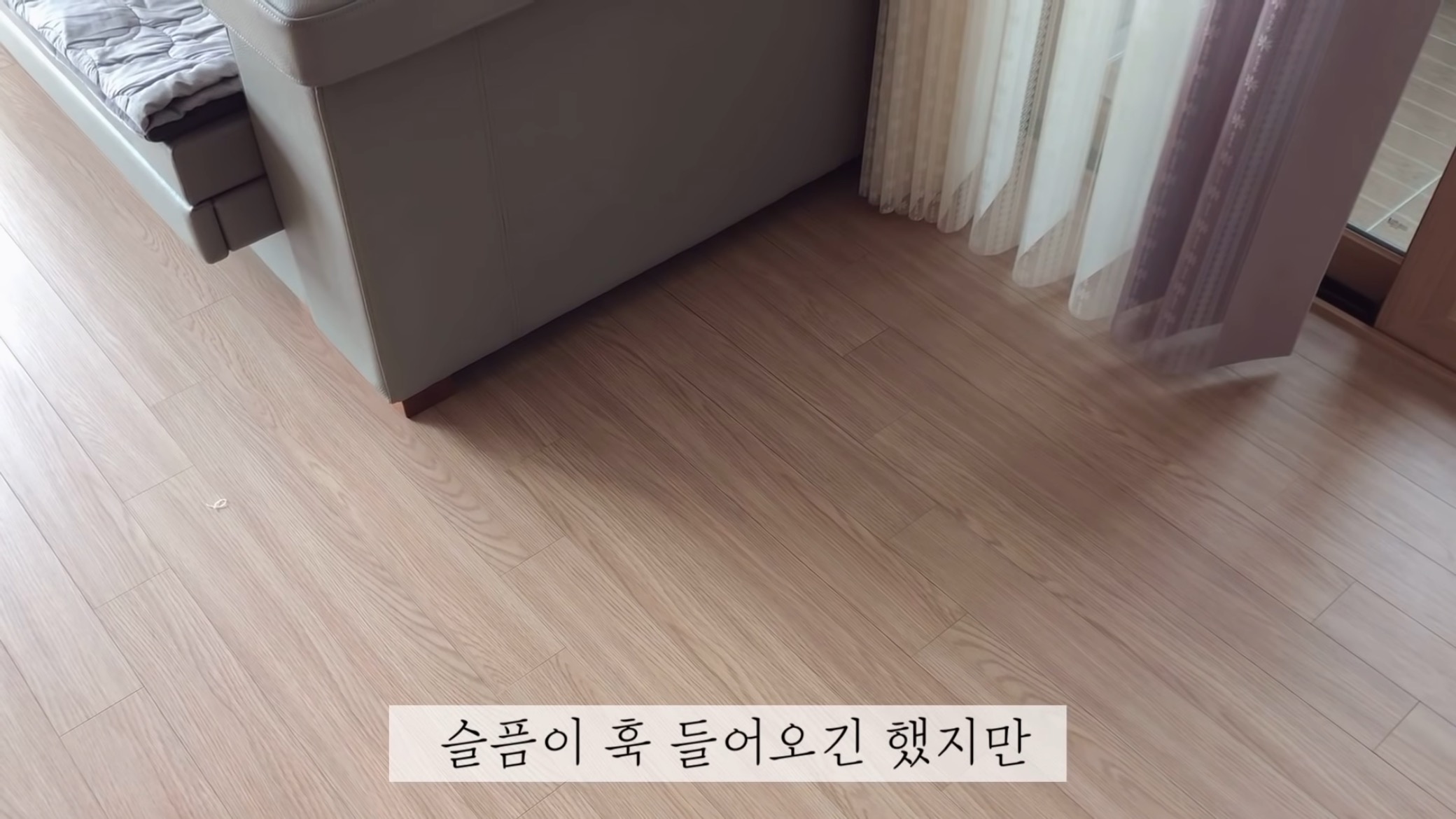 "공고번호 411번" 강아지가 입양되기 전 후 모습.jpgif | 인스티즈