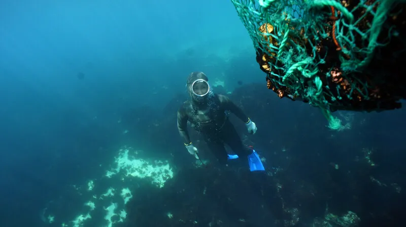 제주 해녀가 가장 뛰어난 잠수 능력을 가진 인류라는 연구 결과가 나옴 | 인스티즈