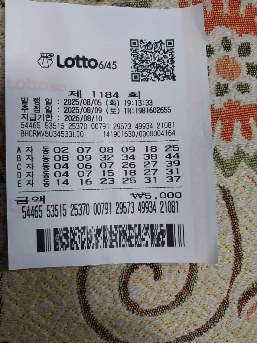 한달에 100만원씩 로또 자동 돌린 디시인 | 인스티즈