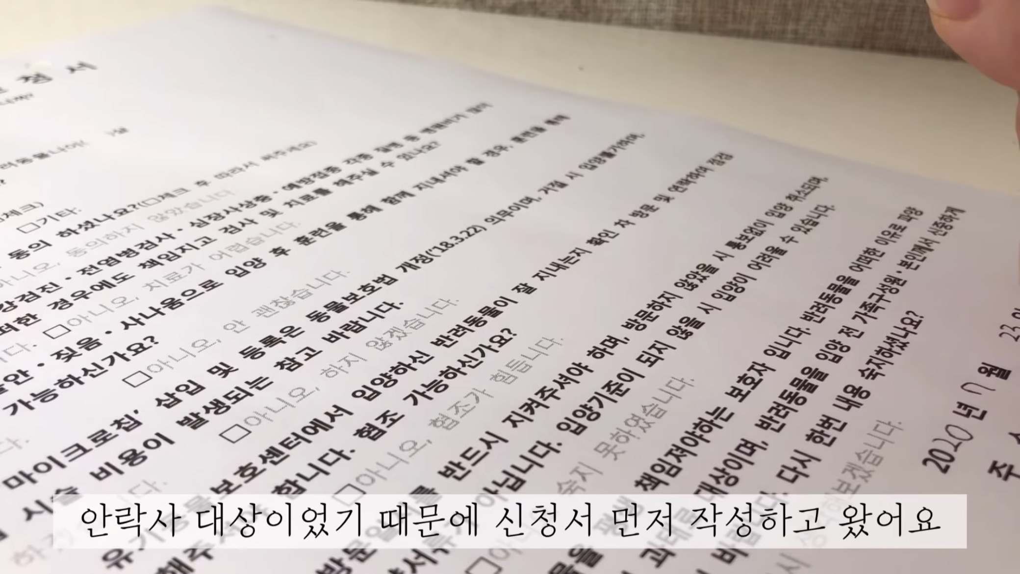 "공고번호 411번" 강아지가 입양되기 전 후 모습.jpgif | 인스티즈