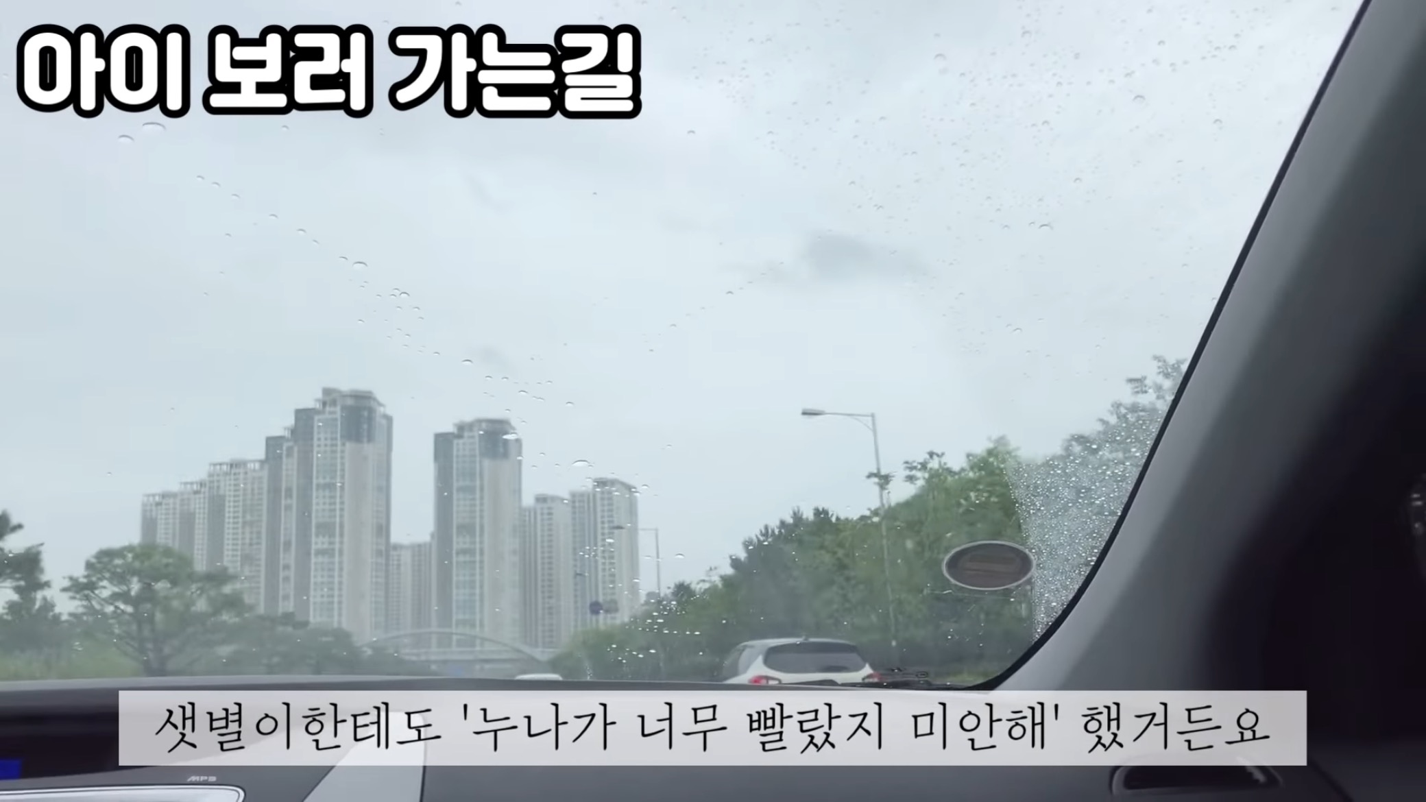 "공고번호 411번" 강아지가 입양되기 전 후 모습.jpgif | 인스티즈