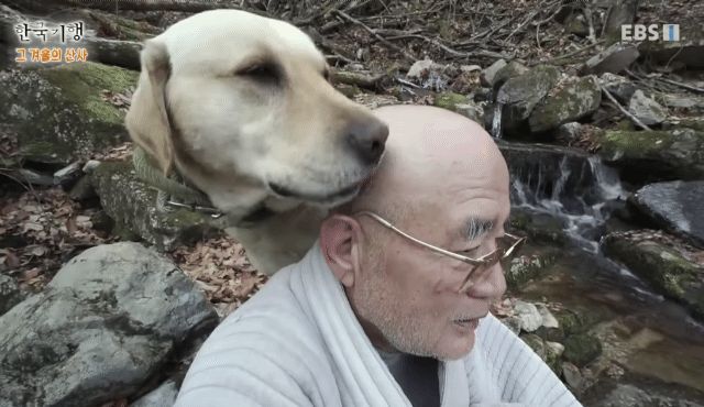 스님 머리 핥던 개 보리 근황.jpg | 인스티즈