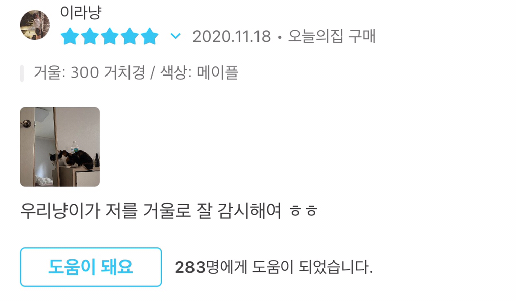 오늘의 집 웃긴 리뷰 모음 | 인스티즈