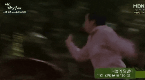 말수가 없었지만 행동으로 자연인 레전드 찍은 말벌 아저씨 | 인스티즈