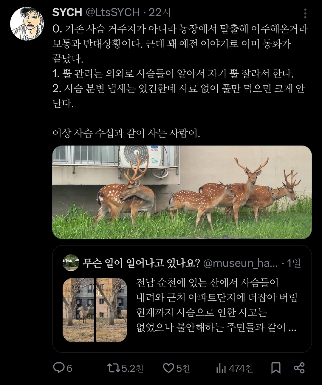 거의 사슴의 지상낙원 됐다는 전남 순천시.jpg | 인스티즈