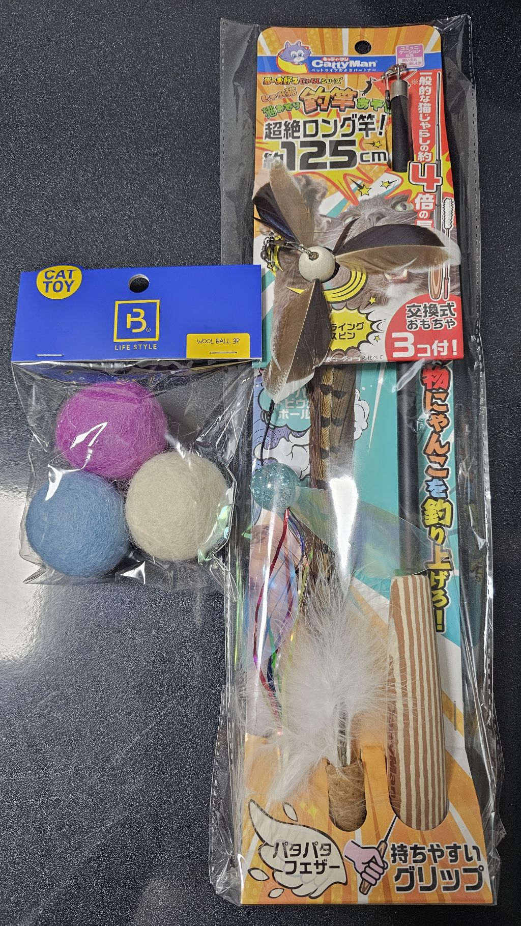 성묘 길냥이 입양했는데 아직 적응 못해서 새벽마다 진짜 시끄럽거든? | 인스티즈