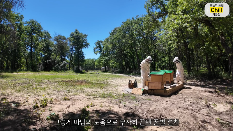 양봉 시작한 올리버쌤 근황.jpg | 인스티즈