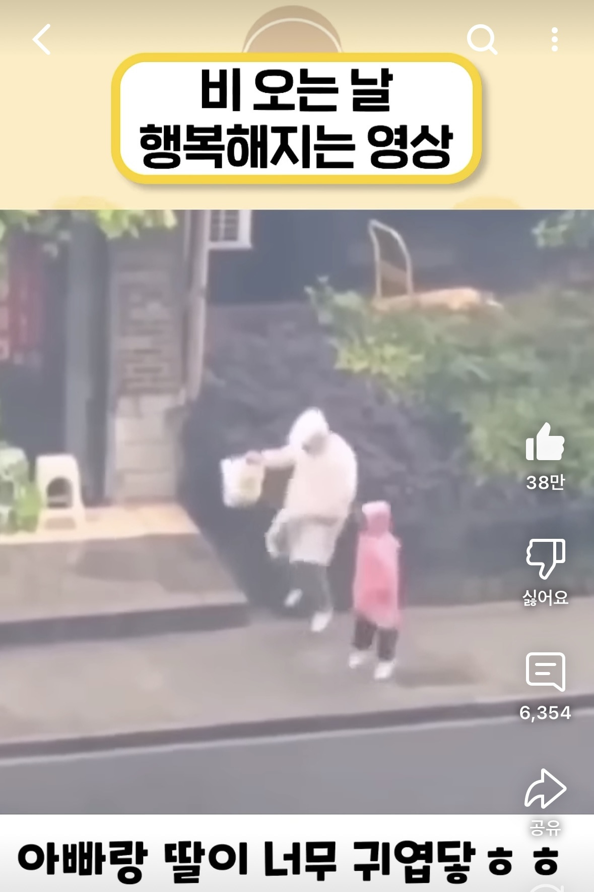 비 오는 날 행복해지는 영상.avi | 인스티즈