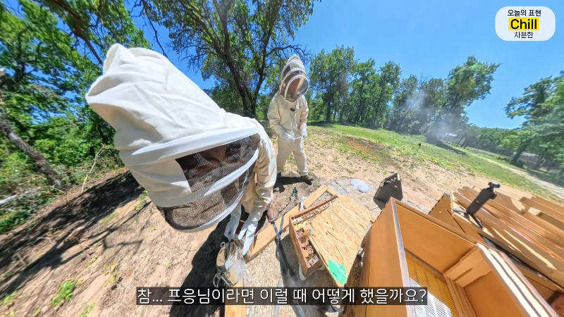 양봉 시작한 올리버쌤 근황.jpg | 인스티즈